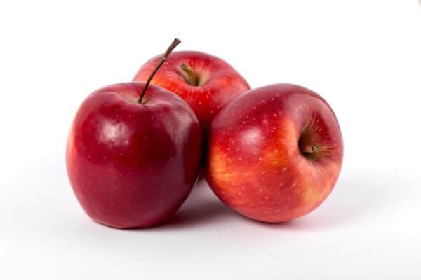 Apple Cider Vinegar Powder (Malus pumila)