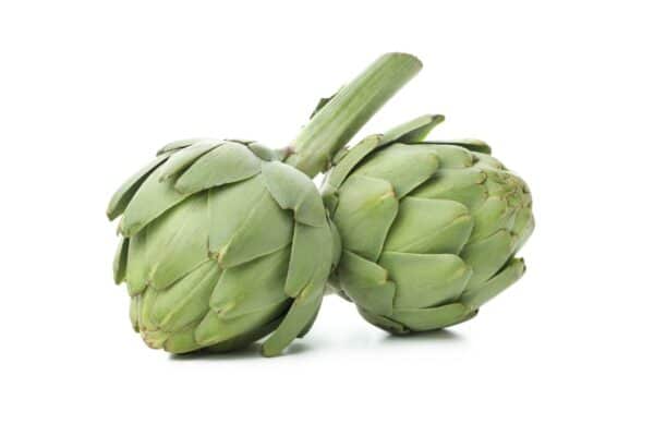 Artichoke Extract Cynara scolymus L. scaled 1