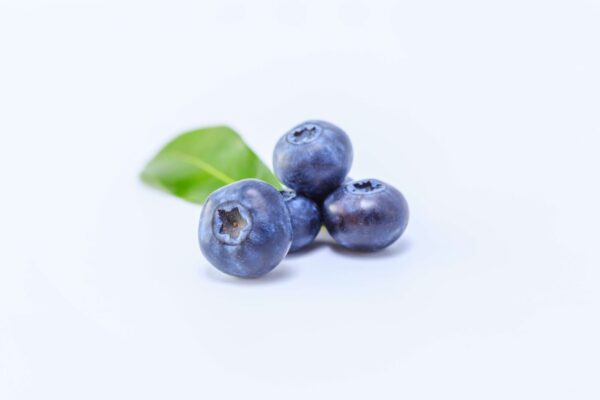 Blueberry Extract (Vaccinium uliginosum)