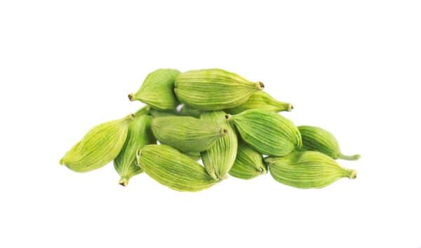 Cardamom Extract Elettaria cardamomum 1 scaled 1