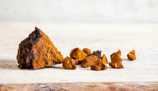 Chaga Extract (Inonotus obliquus)