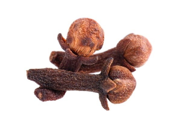 Clove Extract Syzygium arommaticum L scaled 1