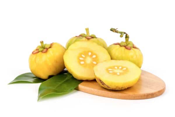 Garcinia Cambogia Extract Garcinia Cambogia scaled 1