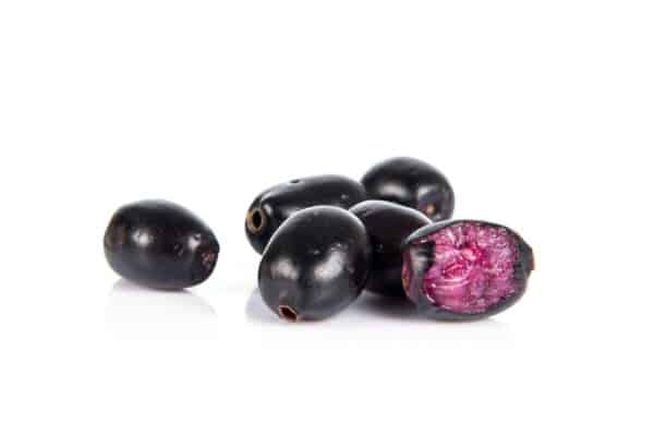 Jamun Extract Eujenia jambolana scaled 1