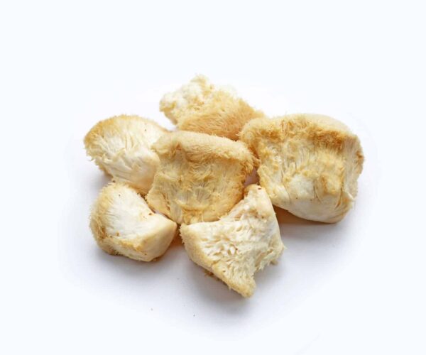 Lions-Mane-Extract-Hericium-erinaceus-scaled-1.jpg