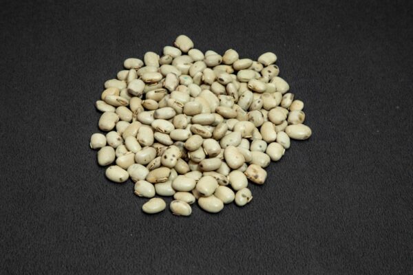 Mucuna Pruriens Extract Mucuna pruriens scaled 1