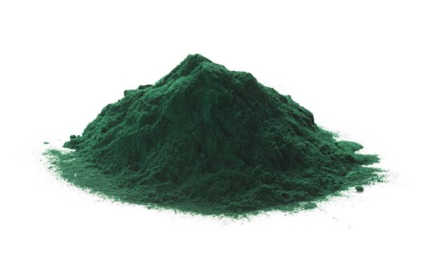 Spirulina Powder Arthrospira platensis scaled 1