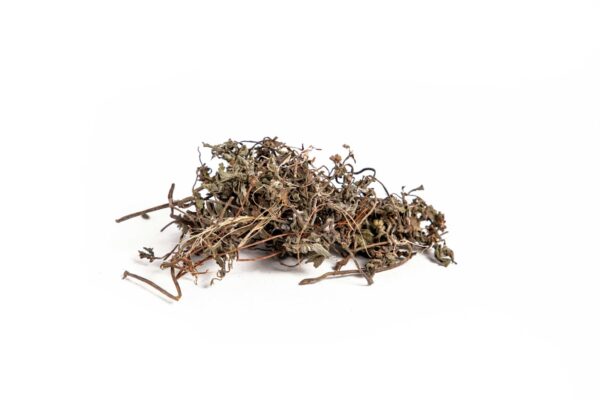 Tribulus Terrestris Extract (Tribulus terrestris)