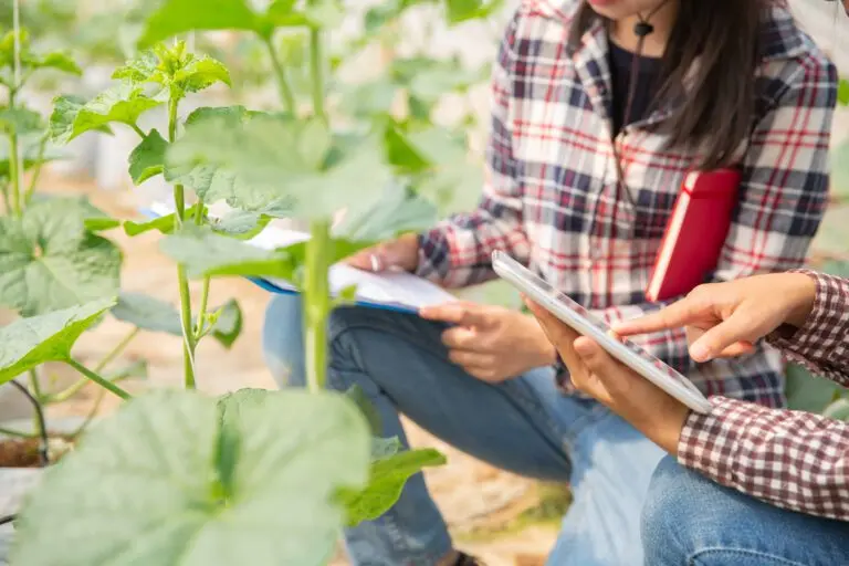 agronomist examines growing melon seedlings farm farmers researchers analysis plant 2 768x512 1