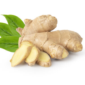 American Ginseng Extract (Panax quinquefolius)
