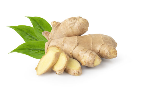 American Ginseng Extract (Panax quinquefolius)