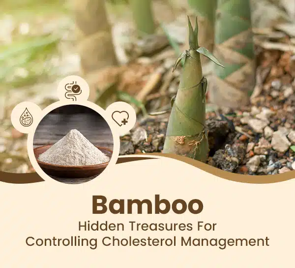 Cholesterol-Management.jpg