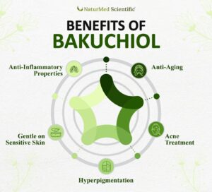 Uses of Bakuchiol in Skin Care 