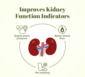 Improves Kidney Function Indicators