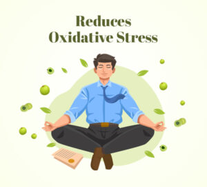 Reduces Oxidative Stress 5