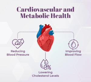 Cardiovascular and Metabolic Health
