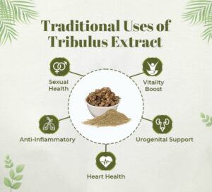 Traditional Uses of Tribulus terrestris 3 1