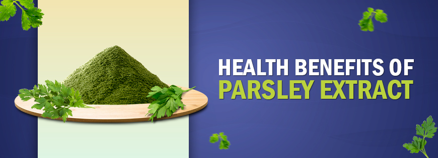 Health Benefits of Parsley Extract