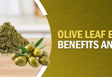 Olive Leaf Extract