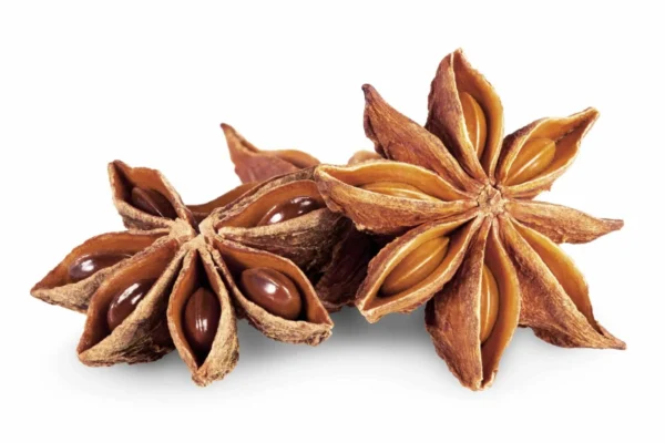 Anise-Seed