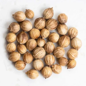 Coriandrum