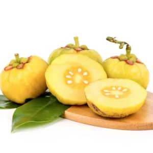 Garcinia