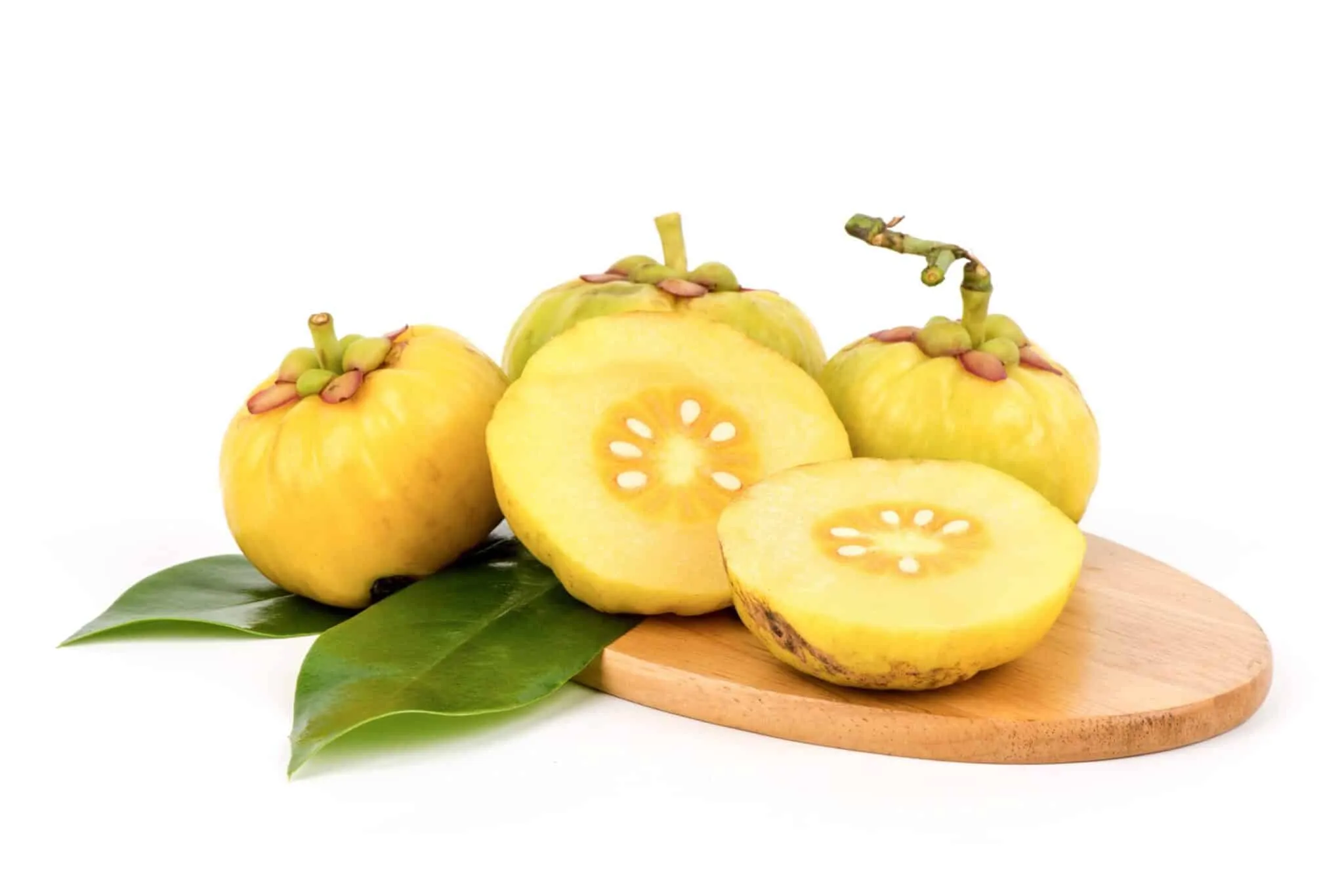 Garcinia