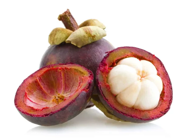 Mangosteen-Extract