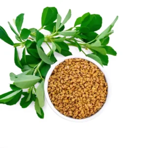 Salacia Reticulata Extract