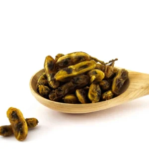 Sophora Japonica Extract