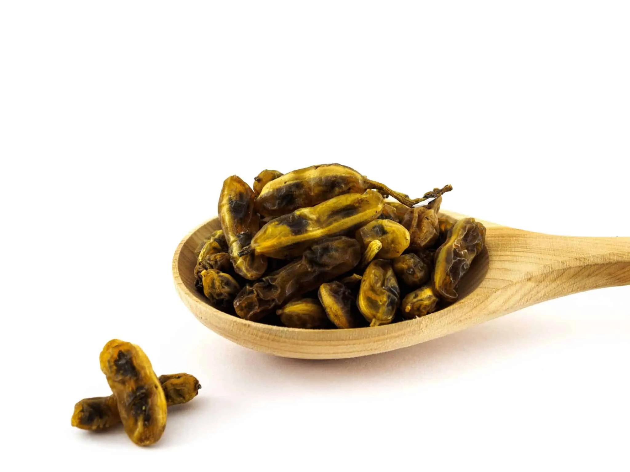 Sophora Japonica Extract