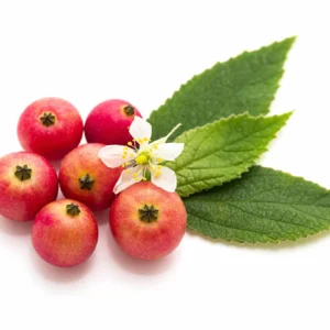 hawthorn