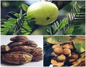 Triphala Extract