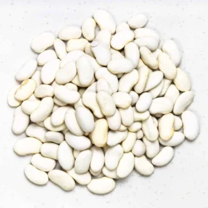 White Kidney Bean Extract (Phaseolus vulgaris)
