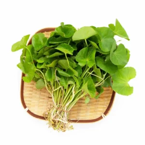 Centella