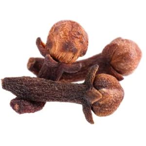 Clove-Extract