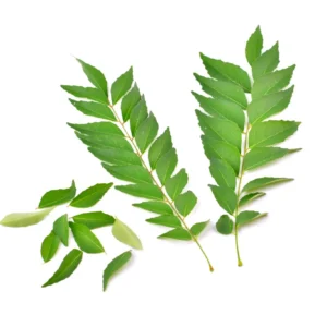 Curry-Leaf