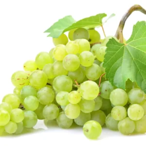 Grape-Seed