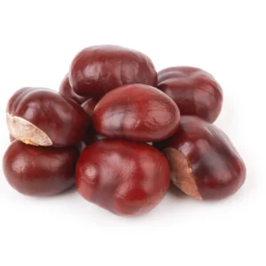 Horse-Chestnut