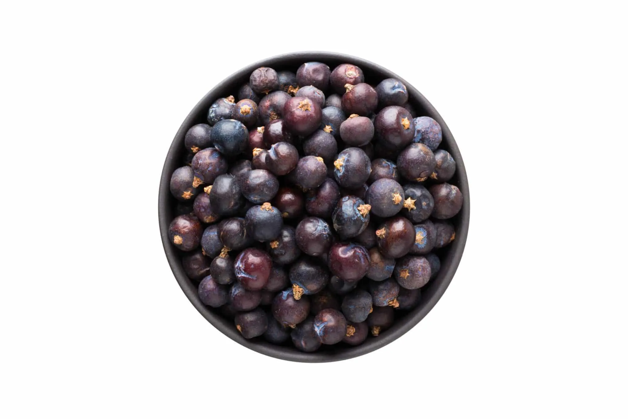 Juniper-Berry-Extract