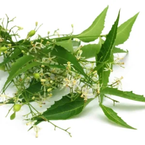 Neem-Leaf-Extract