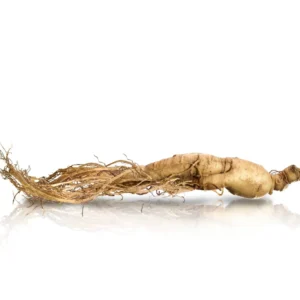 Panax Ginseng Extract