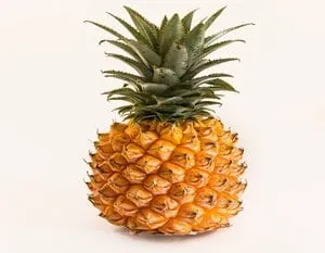 Pineapple Juice Powder