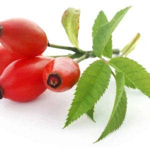 Rosehip Extract