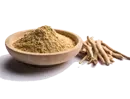 Standardised-Botanical-Extracts