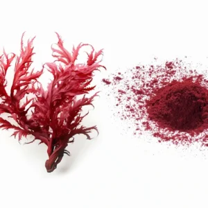 astaxanthin