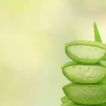 Aloe Vera: A Short Review