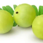 Health Benefits of Amla (Indian Gooseberry)