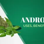 Andrographis: Uses, Benefits, and Dosage