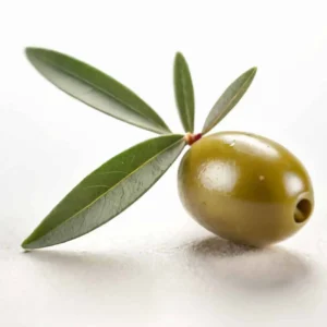 olive